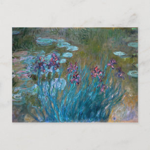 Claude Monet: Irises and Water Lilies Postcard