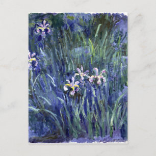 Claude Monet: Irises Postcard