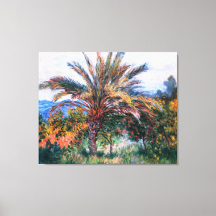 Claude Monet: Palm Tree at Bordighera Canvas Print