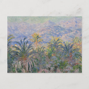 Claude Monet Palm Trees at Bordighera Postcard
