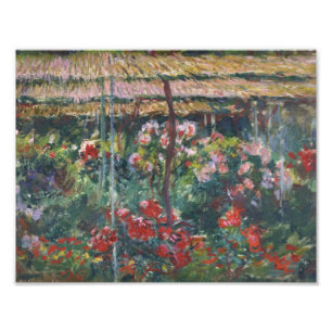 Claude Monet - Peony Garden Photo Print