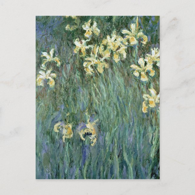 Claude Monet | The Yellow Irises Postcard (Front)