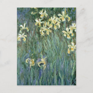 Claude Monet   The Yellow Irises Postcard