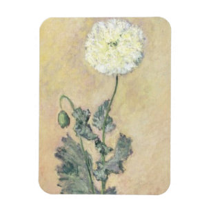 Claude Monet White Poppy, 1883 Magnet