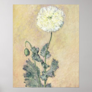 Claude Monet   White Poppy, 1883 Poster