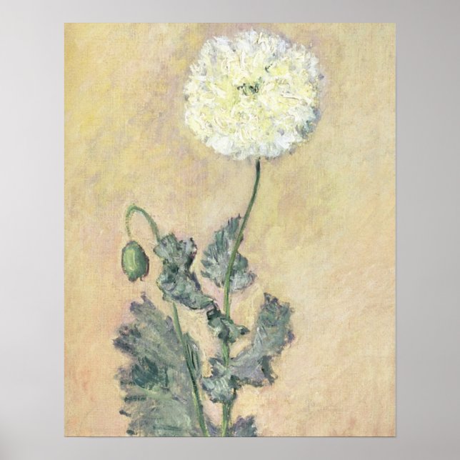 Claude Monet | White Poppy, 1883 Poster (Front)
