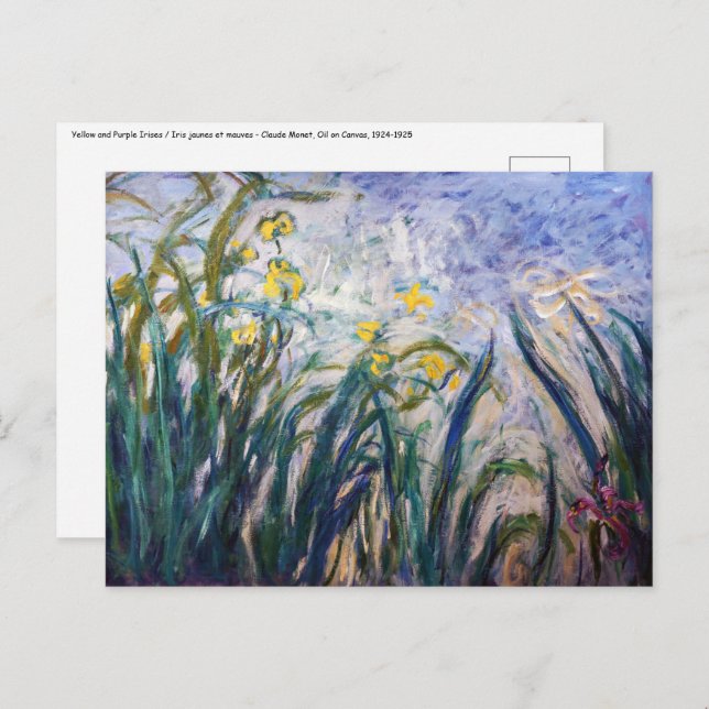 Claude Monet - Yellow and Purple Irises Postcard (Front/Back)