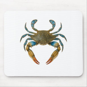 Claws of the Coast Mouse Mat