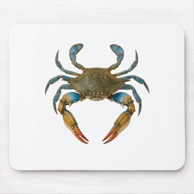 Claws of the Coast Mouse Mat (Front)