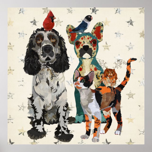 CLAWS, PAWS & FEATHERS Poster (Front)