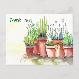 Clay Array Postcard