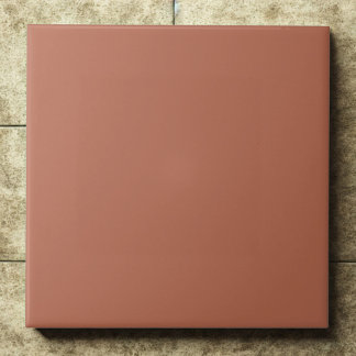 Clay #b66a50 – Warm, Mellow, Natural Orange Tile
