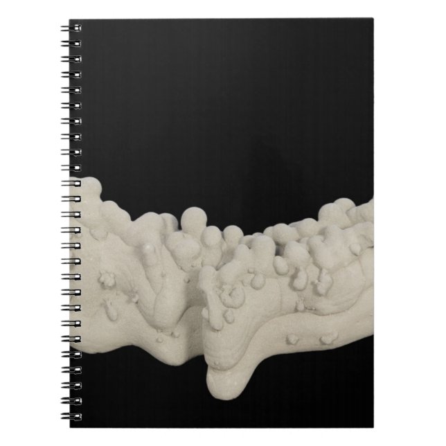 Clay Concretion Notebook (Front)