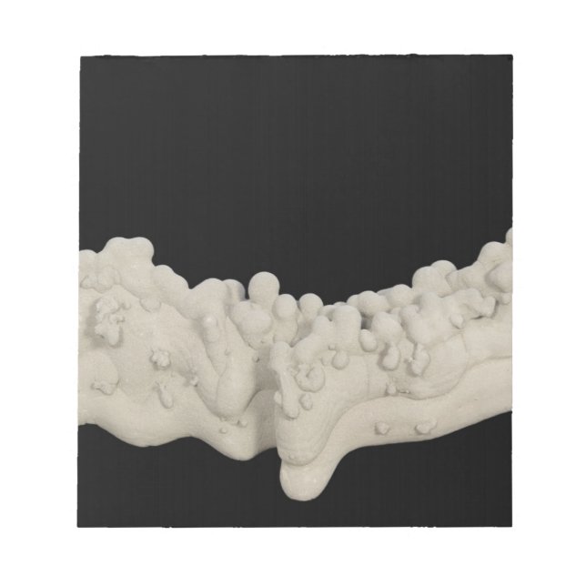 Clay Concretion Notepad (Front)