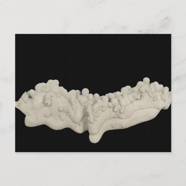Clay Concretion Postcard (Front)