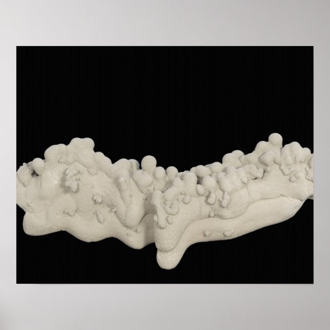 Clay Concretion Poster (Front)