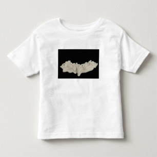 Clay Concretion Toddler T-Shirt
