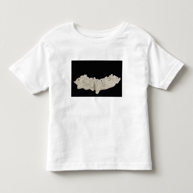 Clay Concretion Toddler T-Shirt (Front)
