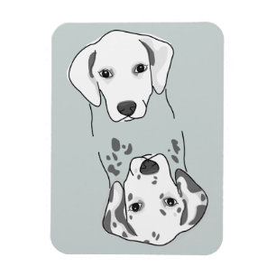 Clean/Dirty Dishwasher Magnet