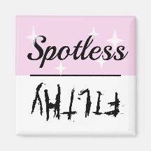 Clean Dirty Spotless Filthy Dishwasher Magnet