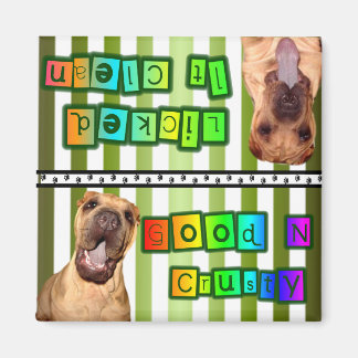 Clean or Dirty Dishes Magnet