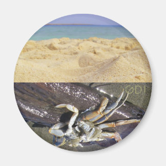 Clean or Dirty? GDI! Magnet