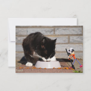Cleaning Fubby with the broom near eating Cat. Thank You Card