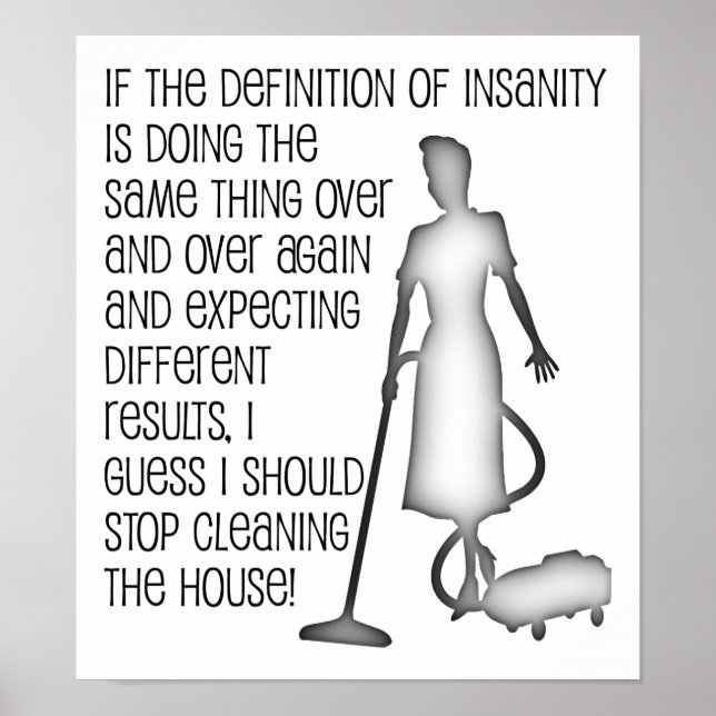 Cleaning Insanity Fun Poster (Front)