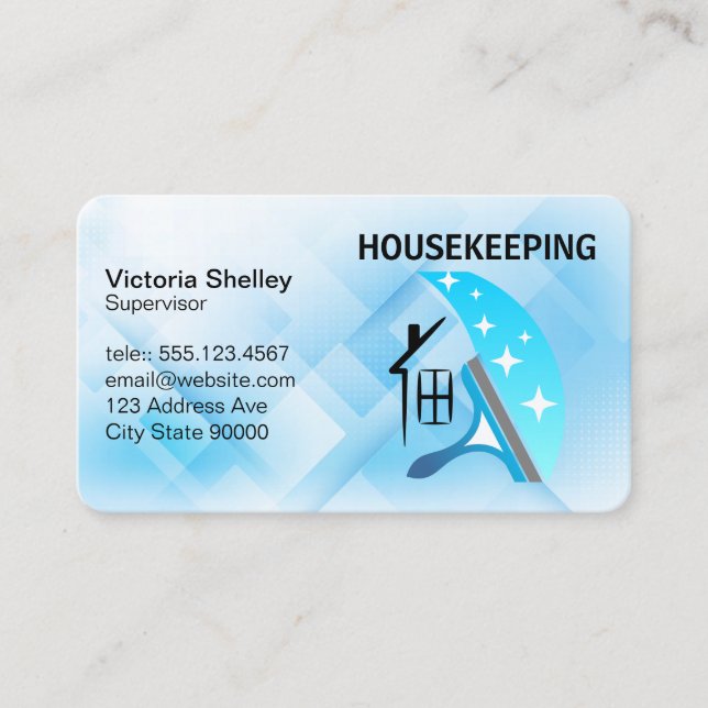 Cleaning Services | House Cleaning | Squeegee Business Card (Front)