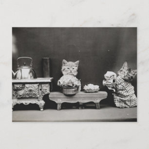 Cleaning the Teapot Postcard