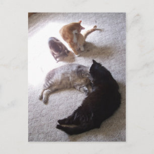 cleaning time postcard