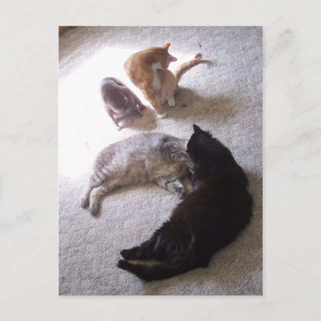 cleaning time postcard (Front)