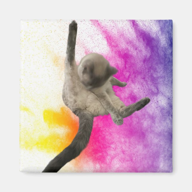 Cleaning Up Magnet (Front)