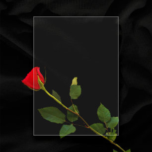 Clear 5" x 7" Blank Wedding Menu  Acrylic Invitations