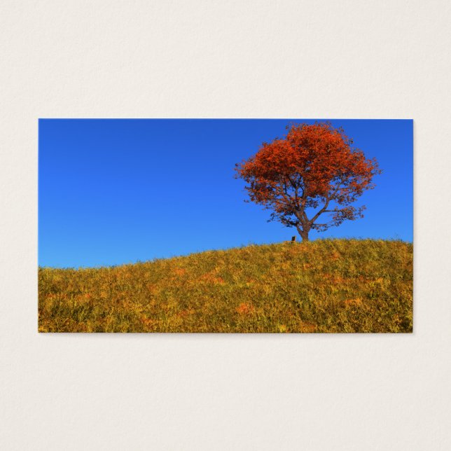 Clear Autumn Day Bookmarks (Front)