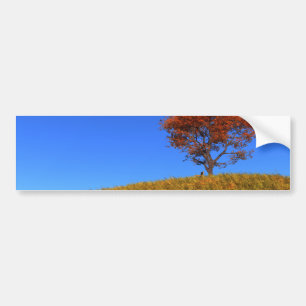 Clear Autumn Day Bumper Sticker