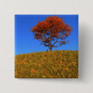 Clear Autumn Day Button