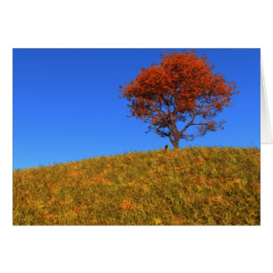 Clear Autumn Day Card