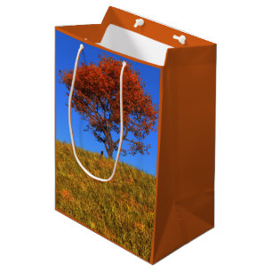 Clear Autumn Day Gift Bag