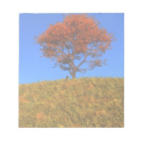Clear Autumn Day Notepad