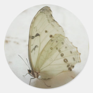 Clear Butterfly Seal / Label /Stickers
