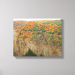 CLEAR FORK GORGE,MOHICAN MEMORIAL STATE FOREST CANVAS PRINT