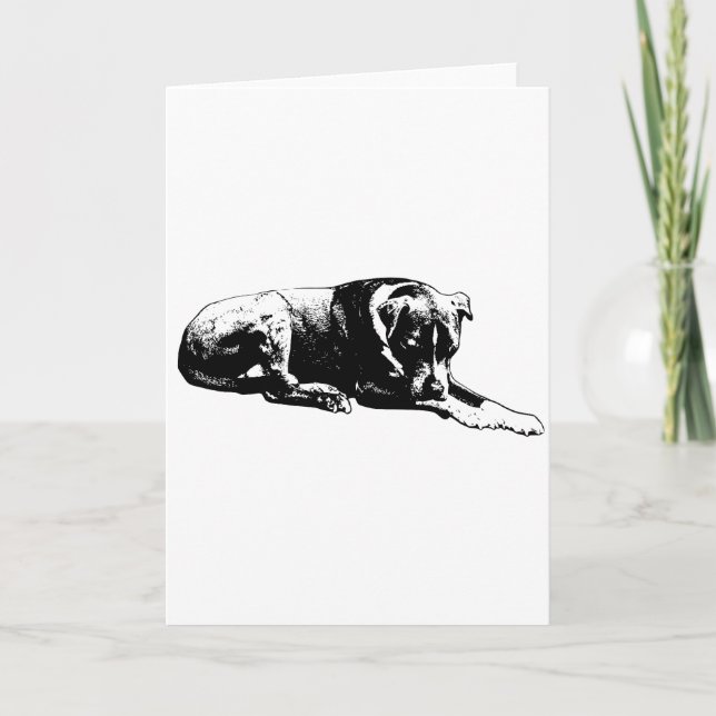 Clear Gaze Dog Card (Front)