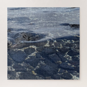 Clear Ocean Water of Hawaii Jigsaw Puzzle