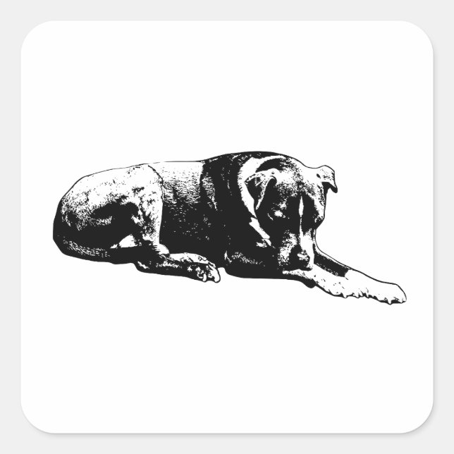 Clear Pose Dog Sticker (Front)