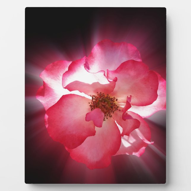 clear red petals plaque (Front)
