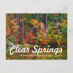 Clear Springs Recreation Area Postcard