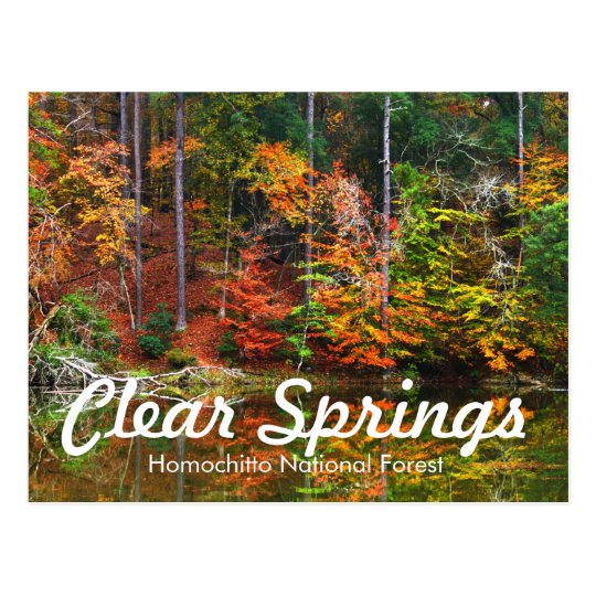 Clear Springs Recreation Area Postcard
