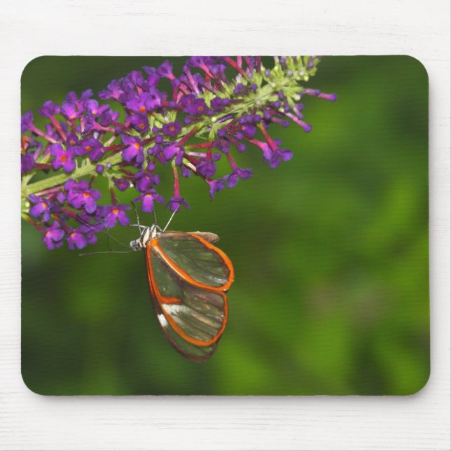 Clear wing upside down mouse mat (Front)