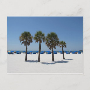Clearwater Beach FL Postcard